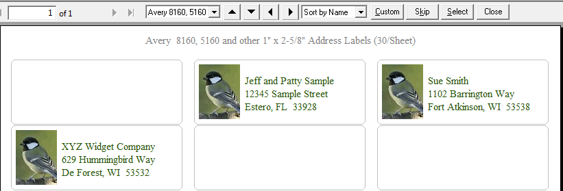 Print Labels on 8160 Labels